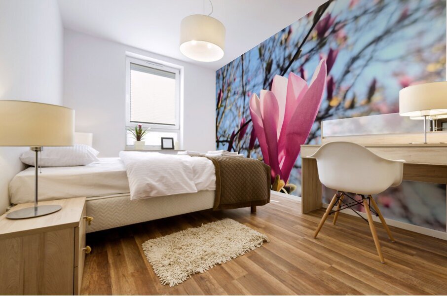 Spring Sun Worshipping Magnolia Mural print