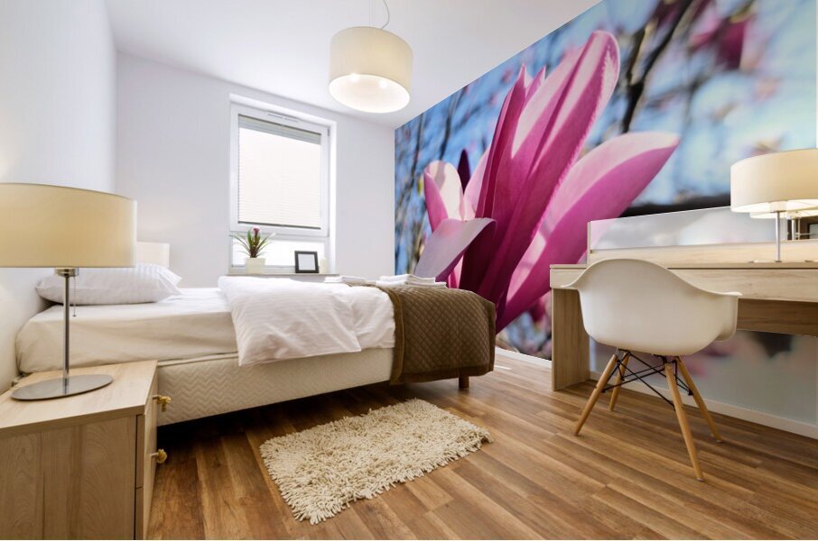 The Velvet Moment Between Bud and Bloom Mural print