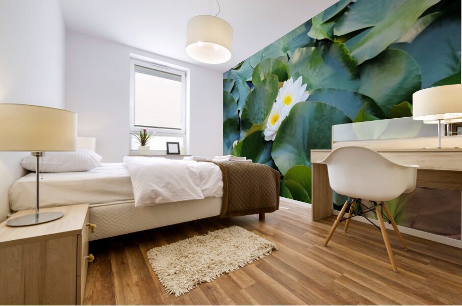 Peeping Beauty Water Lily: Harmony in the Hidden Bloom Impression murale