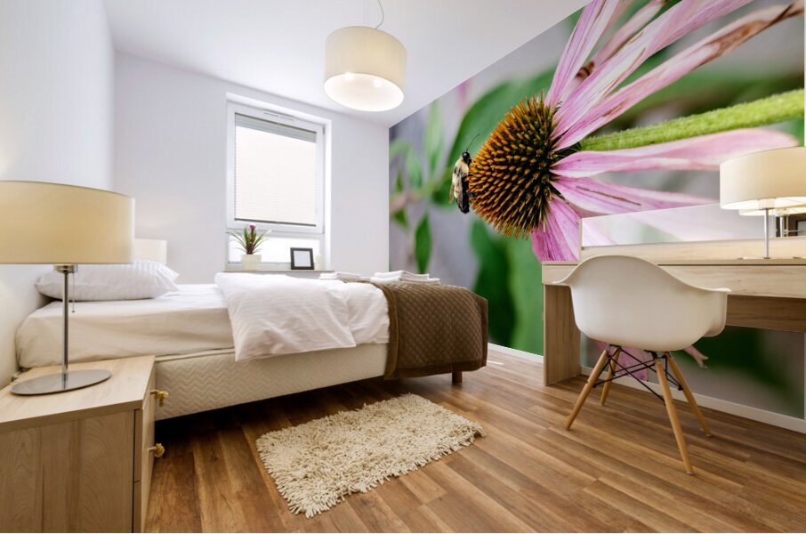 The Bee and the Purple Coneflower Mural print