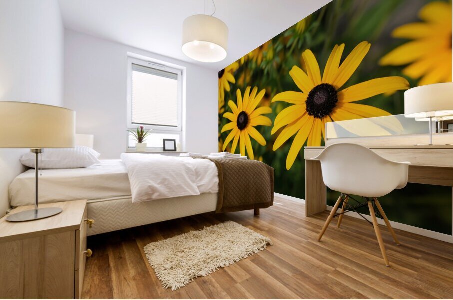 Golden Resilience: Black-Eyed Susan in Summer Bloom Mural print