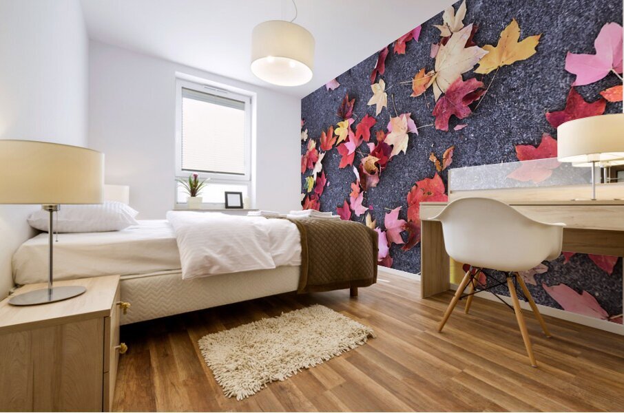 Grounded in Colors 1B Mural print