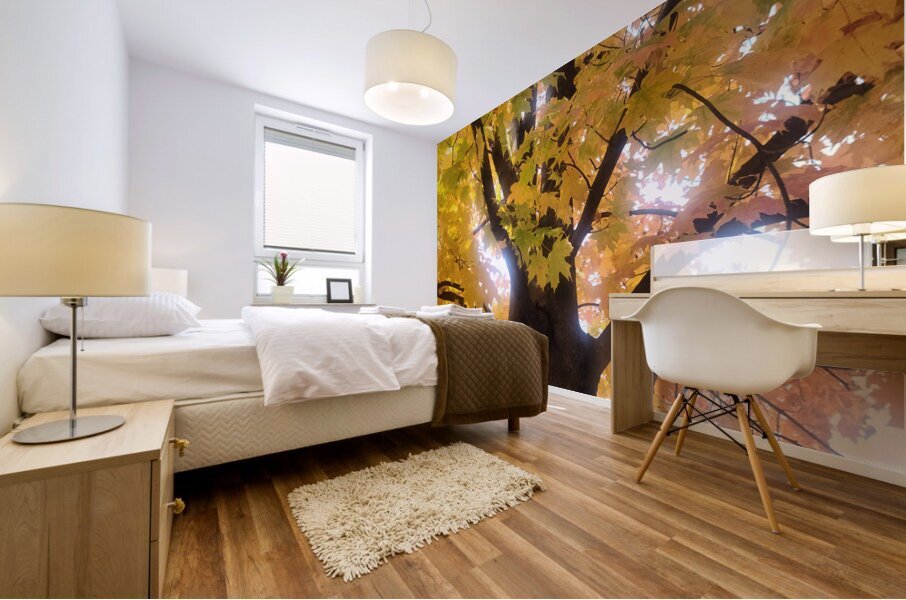 Golden Hour Tree Time 1A  Mural print