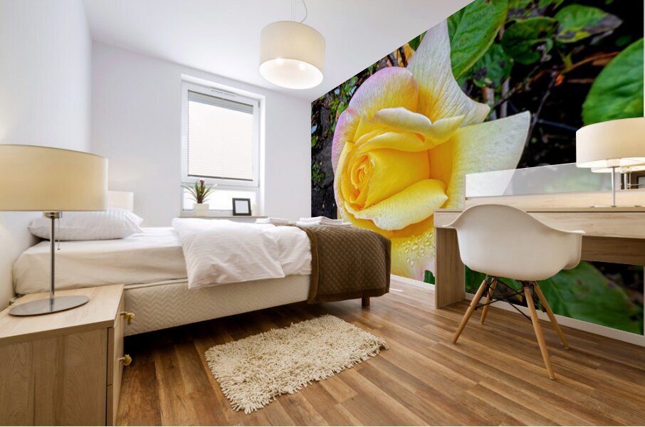 Yellow Rose: Velvet Helix Mural print