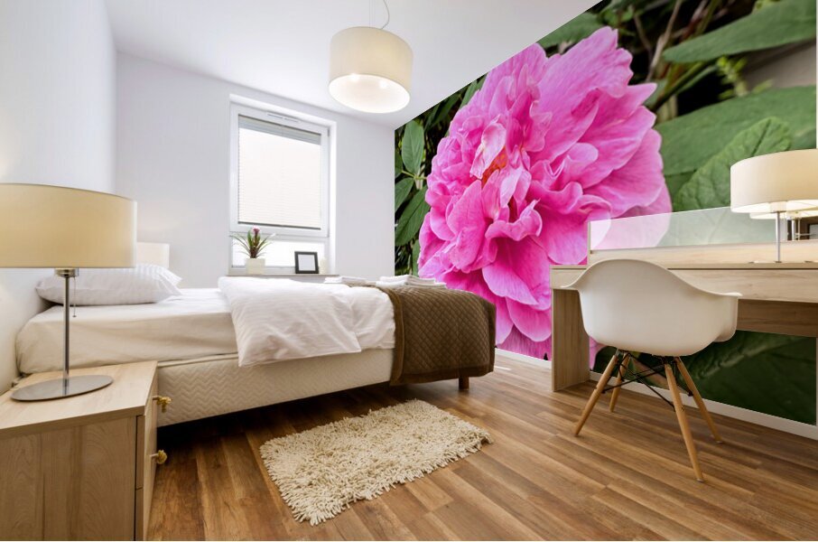 Rugosa Rose: Still She Blooms Impression murale