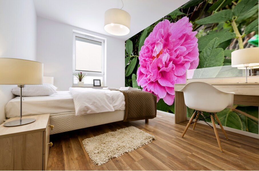 Wild Grace: The Rugosa Bloom Mural print