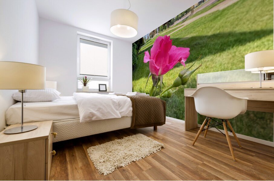 The Rose That Listened to the Wind Impression murale