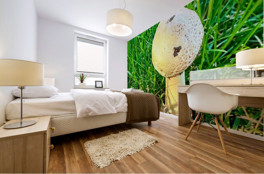 The Philosopher’s Cap Mural print