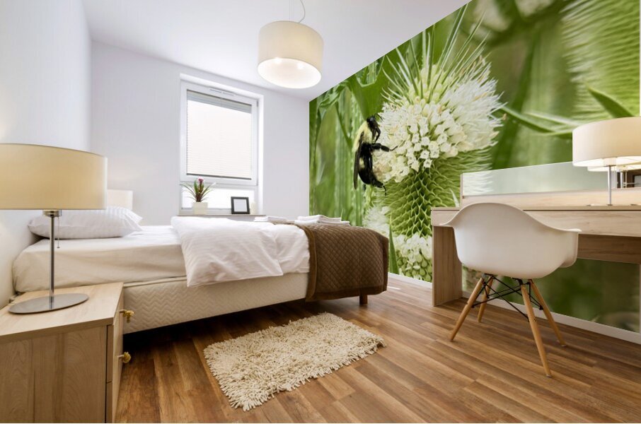 Teasel’s Midday Guest Impression murale