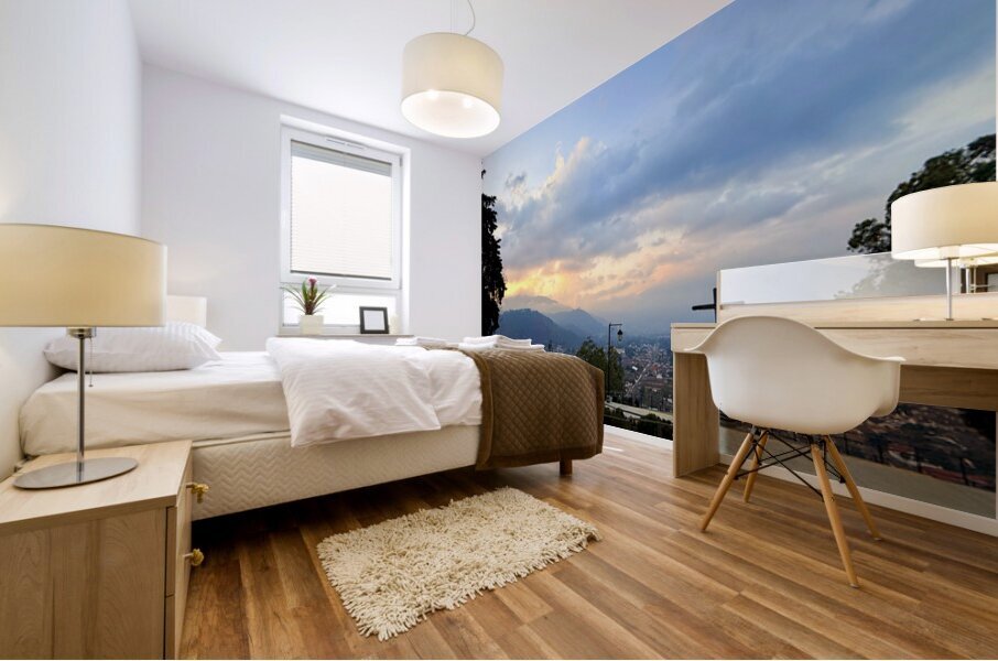 IMG 0505 Mural print