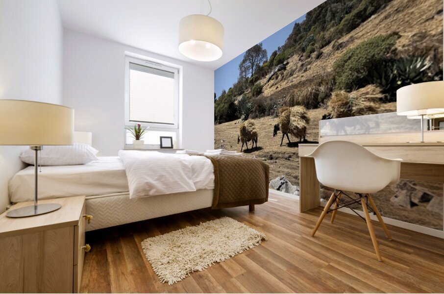 IMG 9558 Mural print