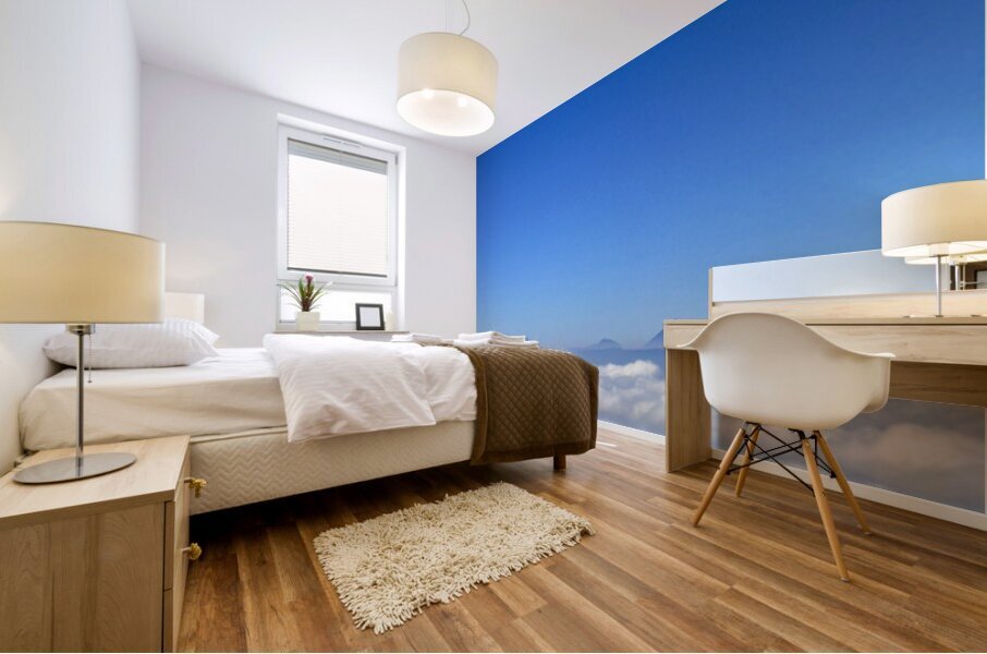 IMG 9130 Mural print