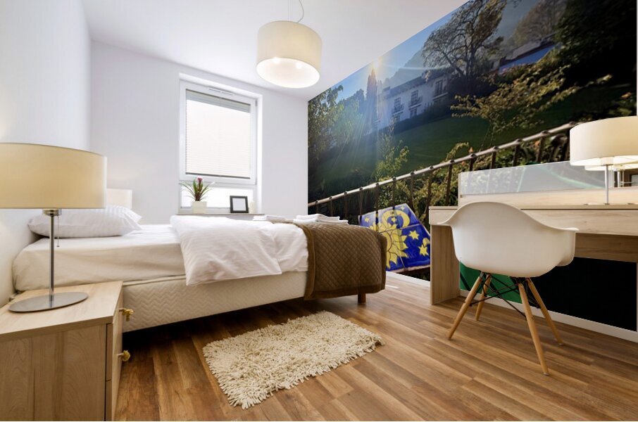 IMG 0005 Mural print