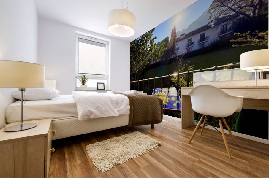 IMG 0019 Mural print