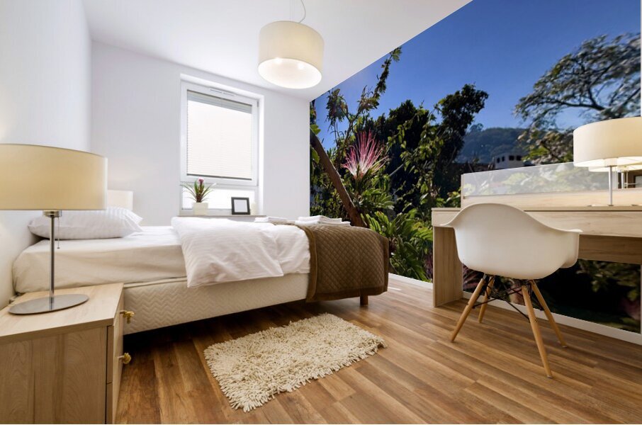 IMG 0024 Mural print