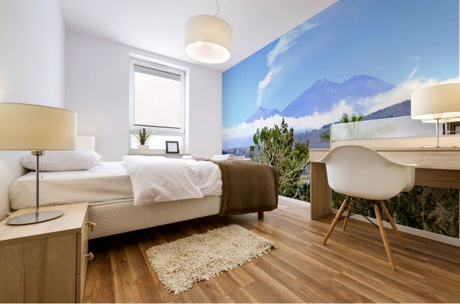 IMG 0148 Mural print