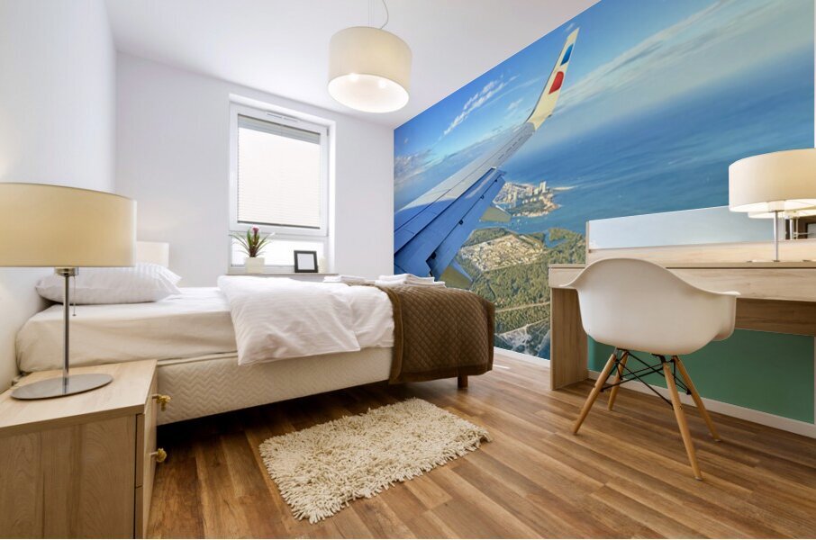 IMG 0551 Mural print