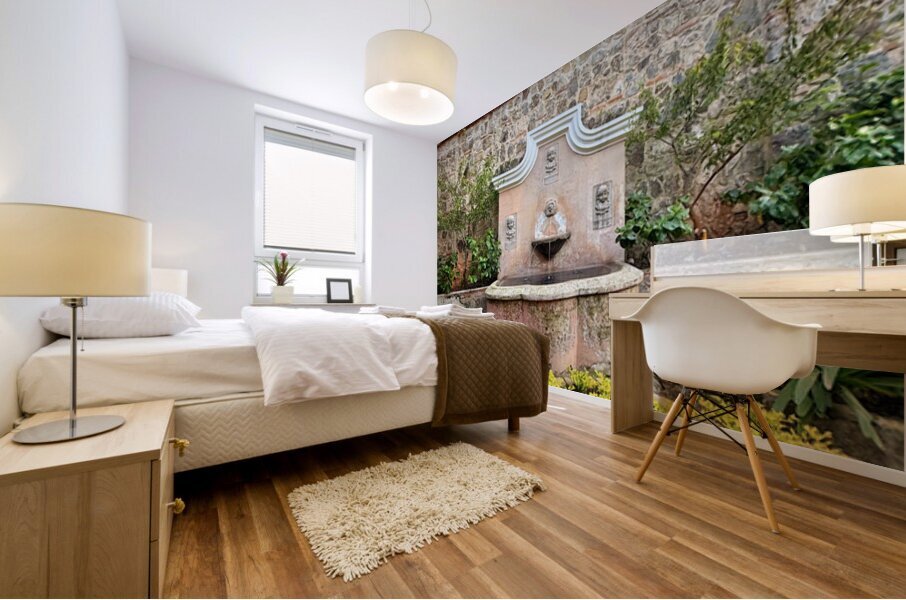 IMG 9960 Mural print