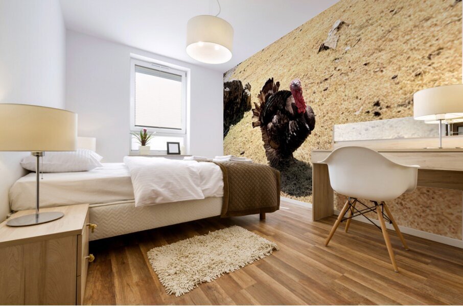 IMG 9621 Mural print