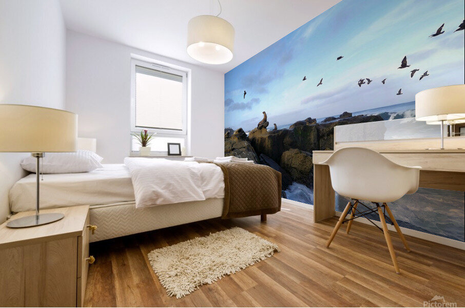 Seal Bird Watching 2 Impression murale