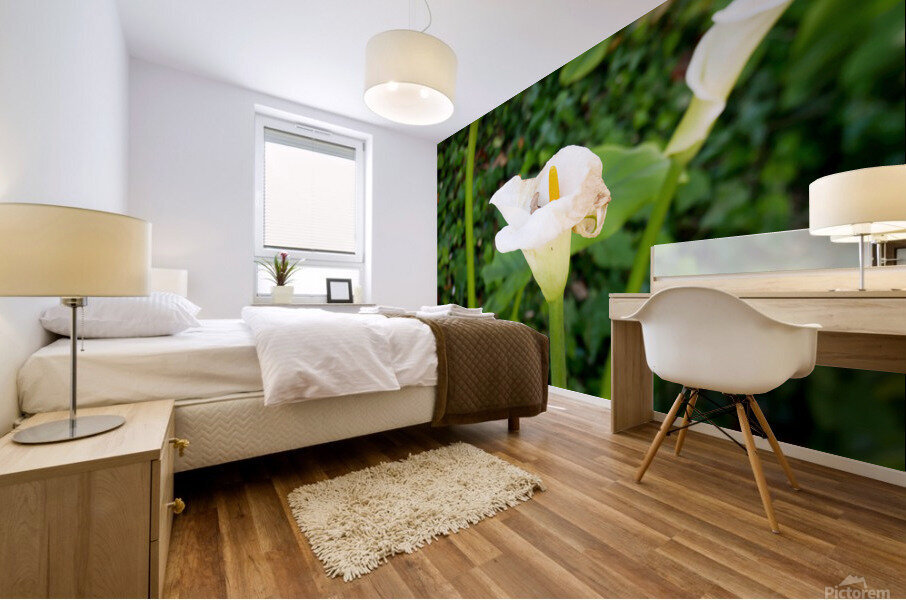 Golden Rod Exposed 2 Mural print