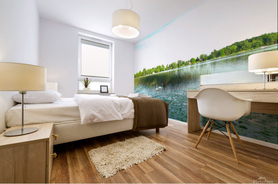 MI Swan Lake Mural print