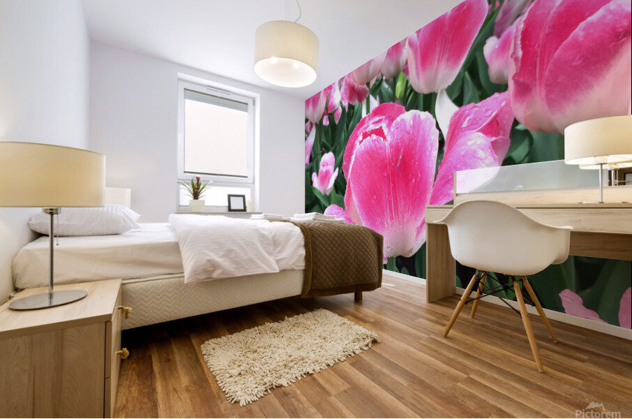 Tulips Are Better Than One C Mural print