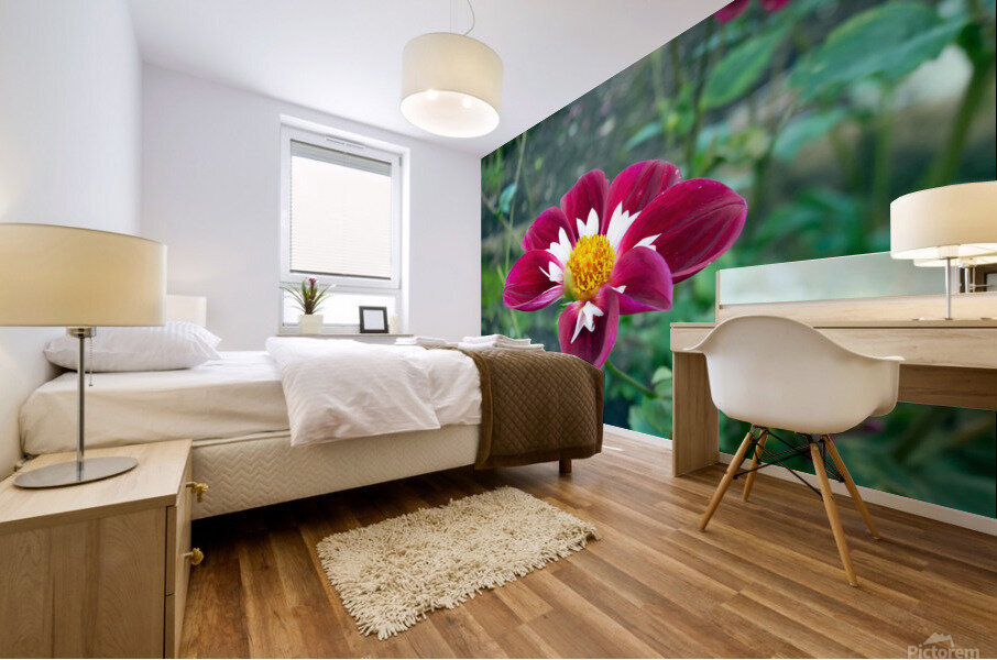 Crimson Bloom Boom   Impression murale