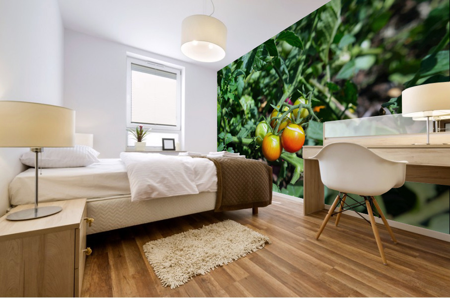 Scarred Cherry Tomato Mural print