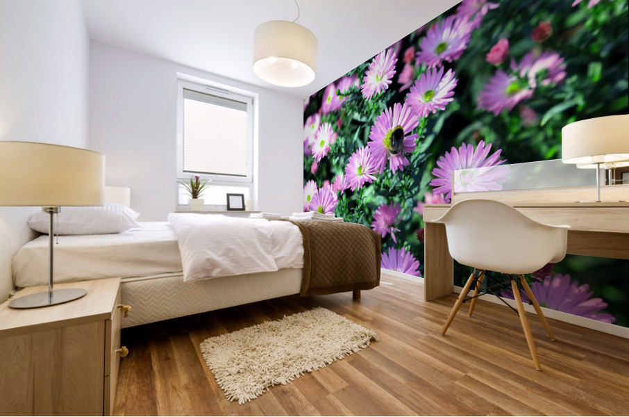 Pink Daisies 2C Impression murale