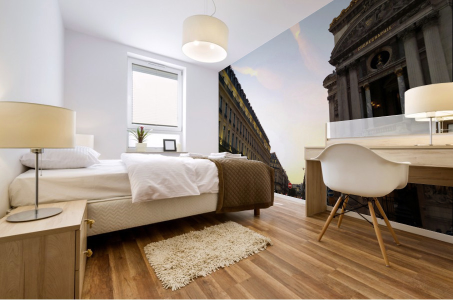 Streets of Paris -- The Palais Garnier Impression murale