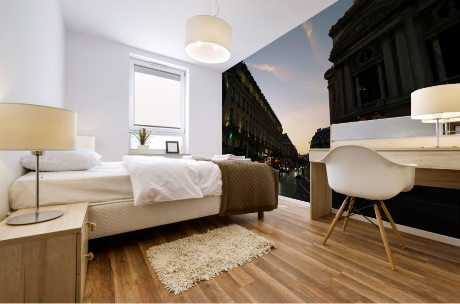 Streets of Paris -- The Palais Garnier 2 Mural print