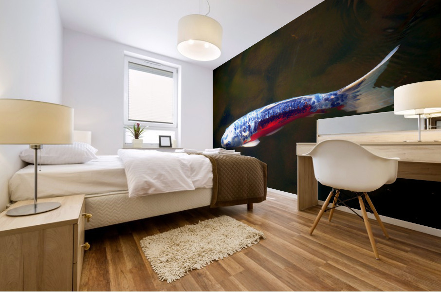 An American Koi Story Mural print