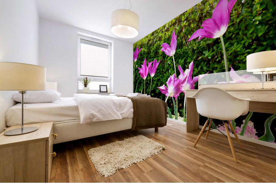 Tulips Singing to the Sun Impression murale