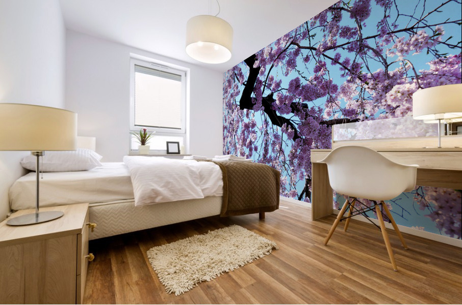 Cherry Blossom 3 Mural print