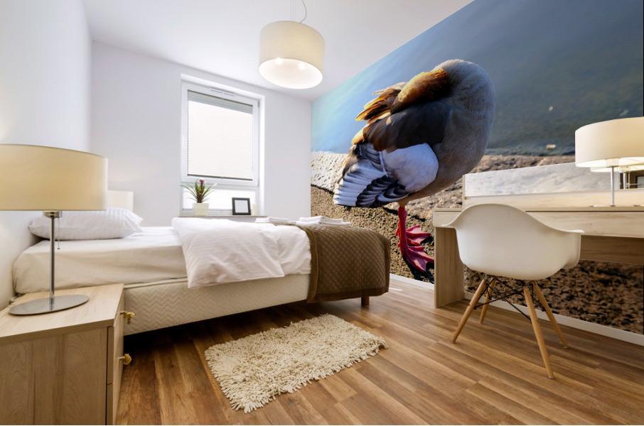 Headless Duck Impression murale