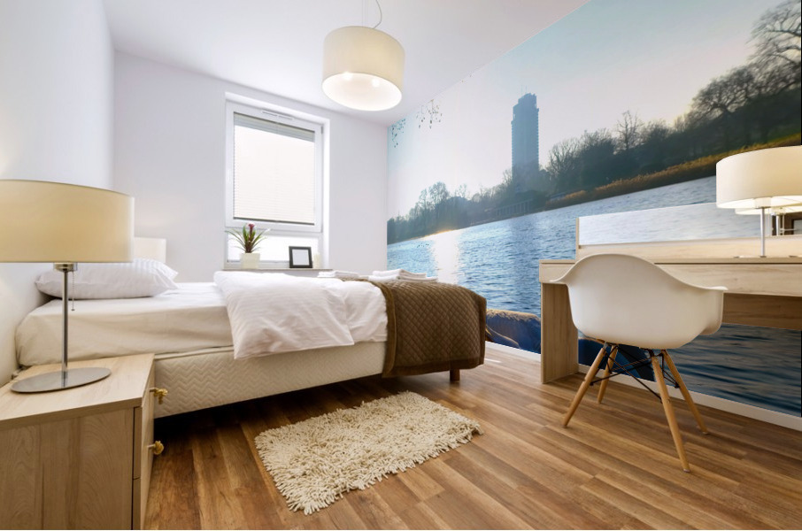 Swan Yoga Morning Stretch 2 Impression murale