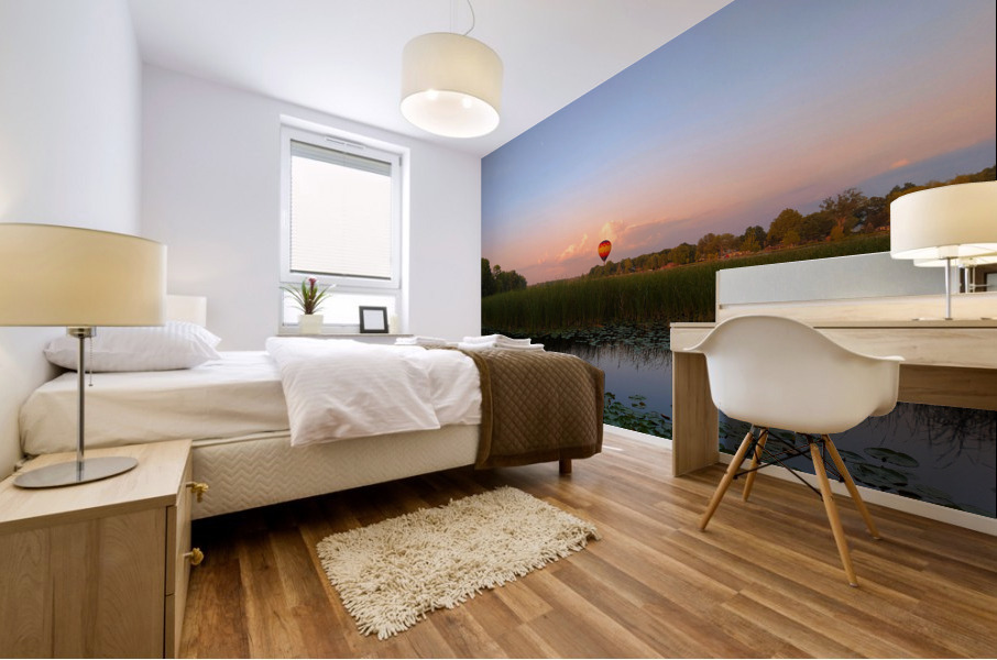 Solace in the Sky Impression murale