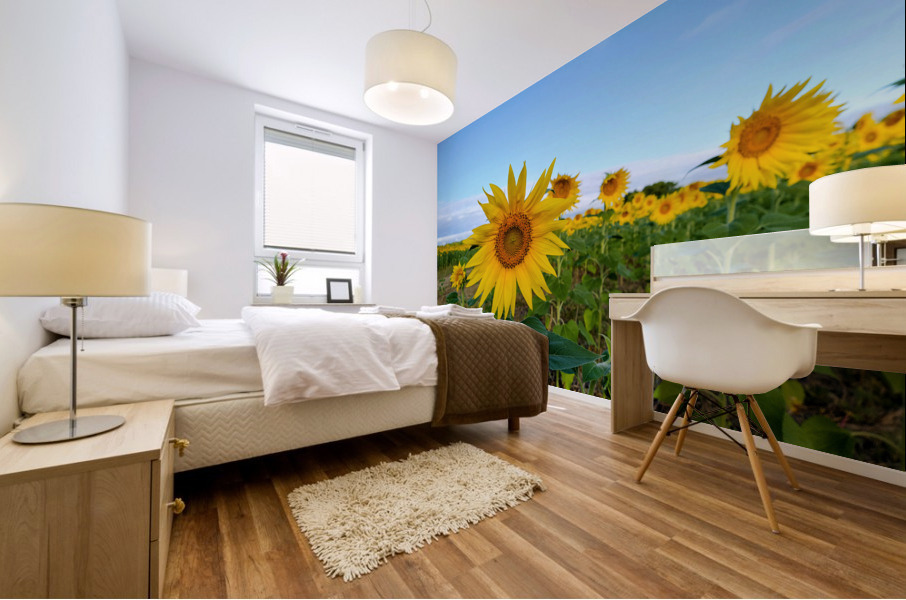 First Light Flower Impression murale