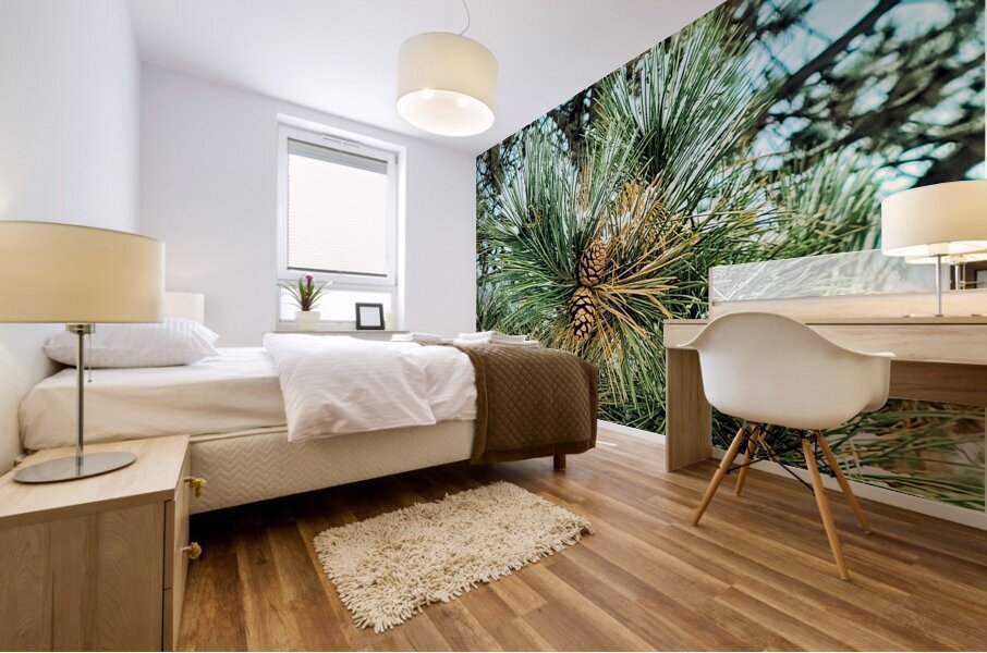  Frosted Pine Cones  Mural print