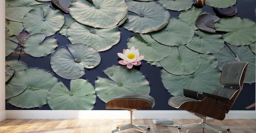 Stillwater Bloom Wall Murals