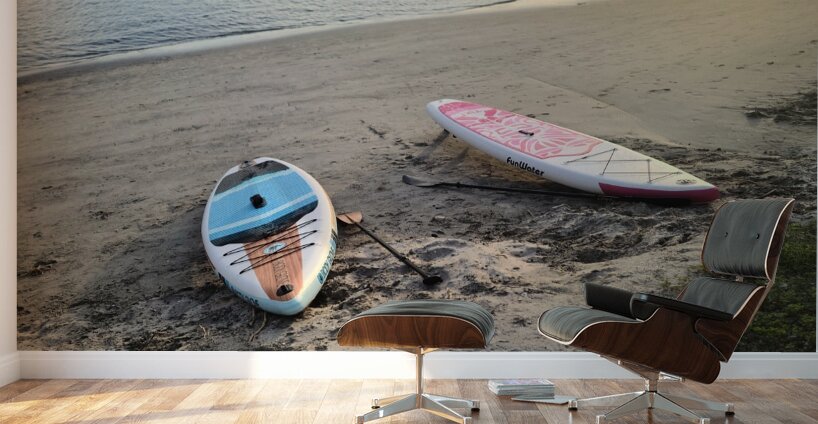 Shoreline Holds the Memory: Beached Paddle Board Wall Murals