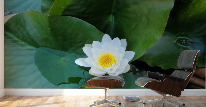 Blooms of Joy: Silence Speaks in Petals Wall Murals