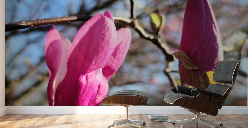 Buds of Hope and the Promise of Spring Wall Murals