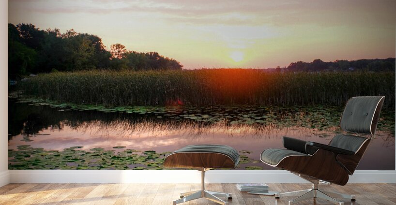 Over Lilyglass Waters: A Dawn Reawakens Wall Murals