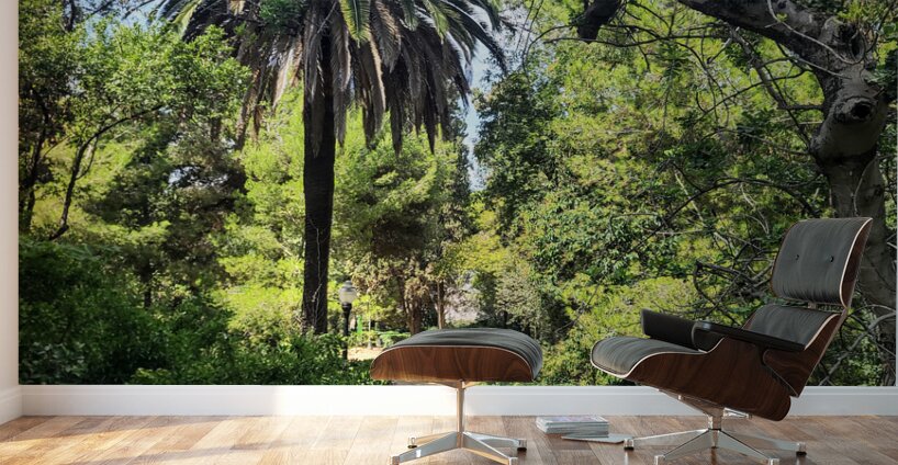 Path to the Palms Wall Murals