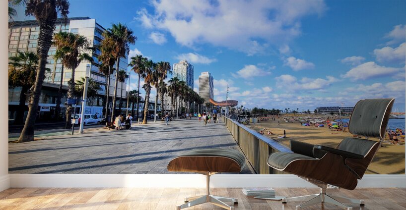 Barcelona Beach: Where the City Meets the Sea Wall Murals