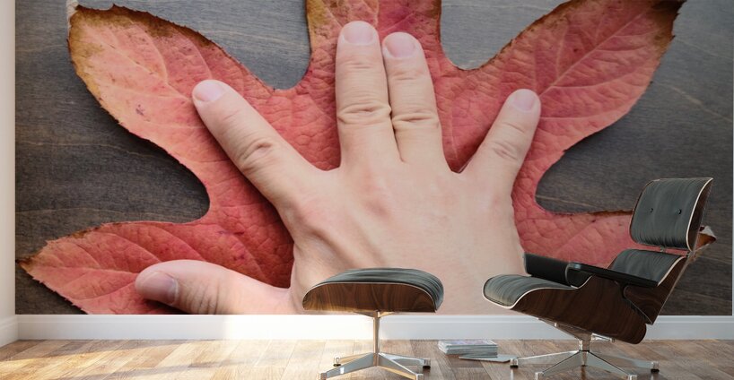 Holding Onto Fall: Nature’s High Five Wall Murals