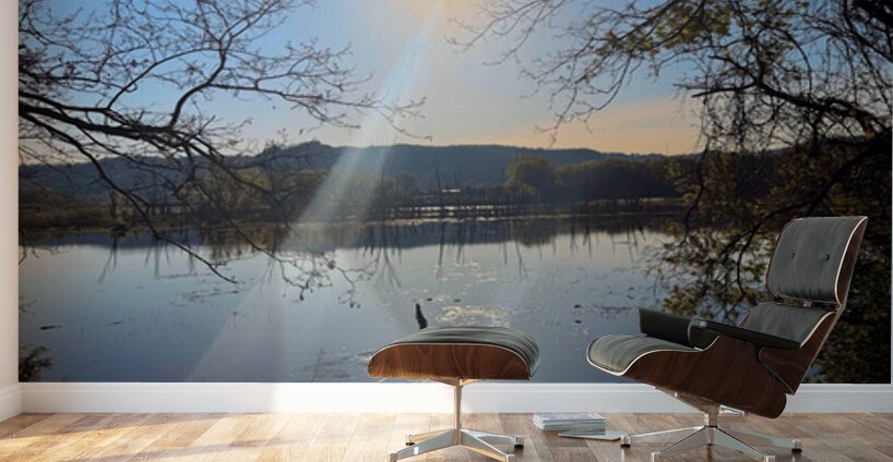 Reflections of La Crosse Wall Murals