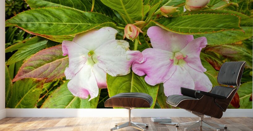 Floravox: The Soft-Spoken Twins Wall Murals